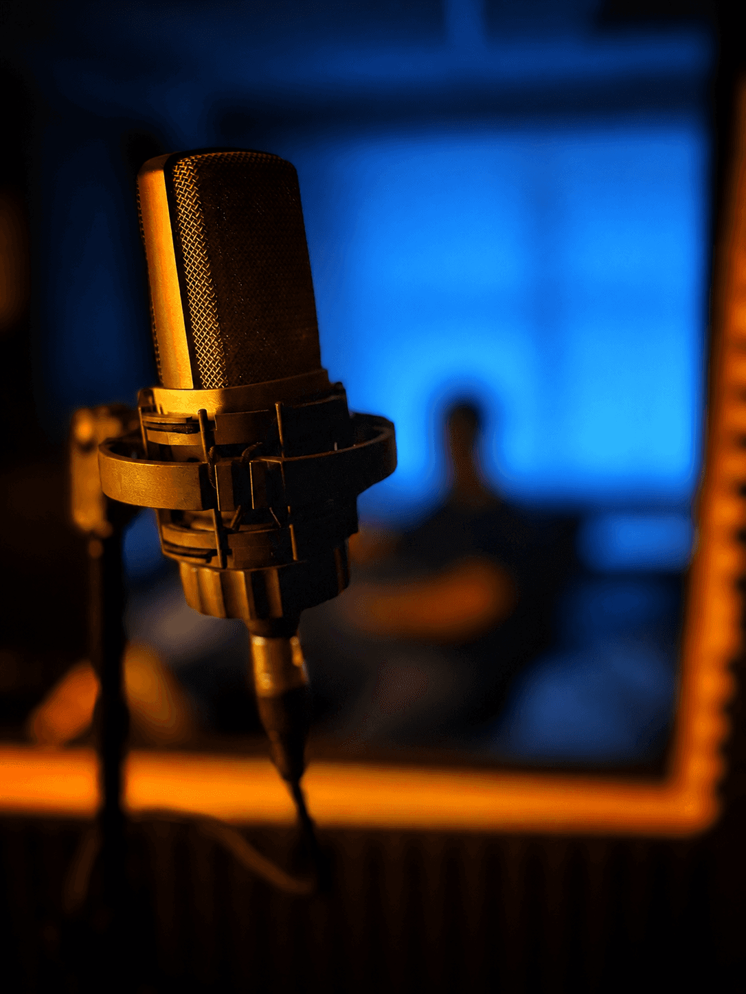 Woman near microphone in recording studio